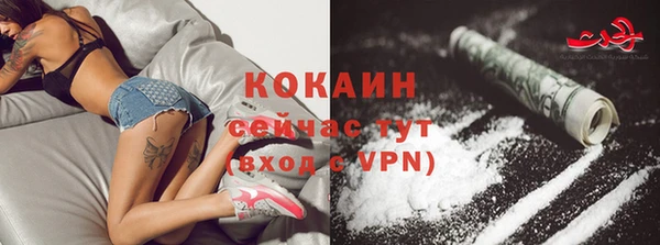 спайс Алзамай